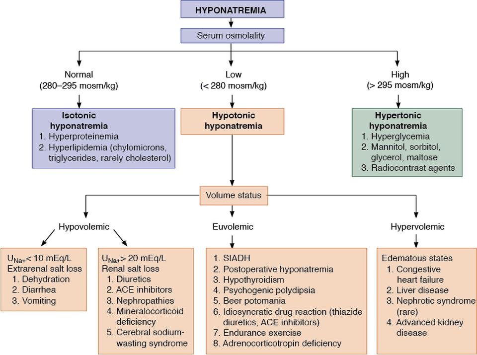 hyponatremia hyponatremia algorithm for Step 2 CK